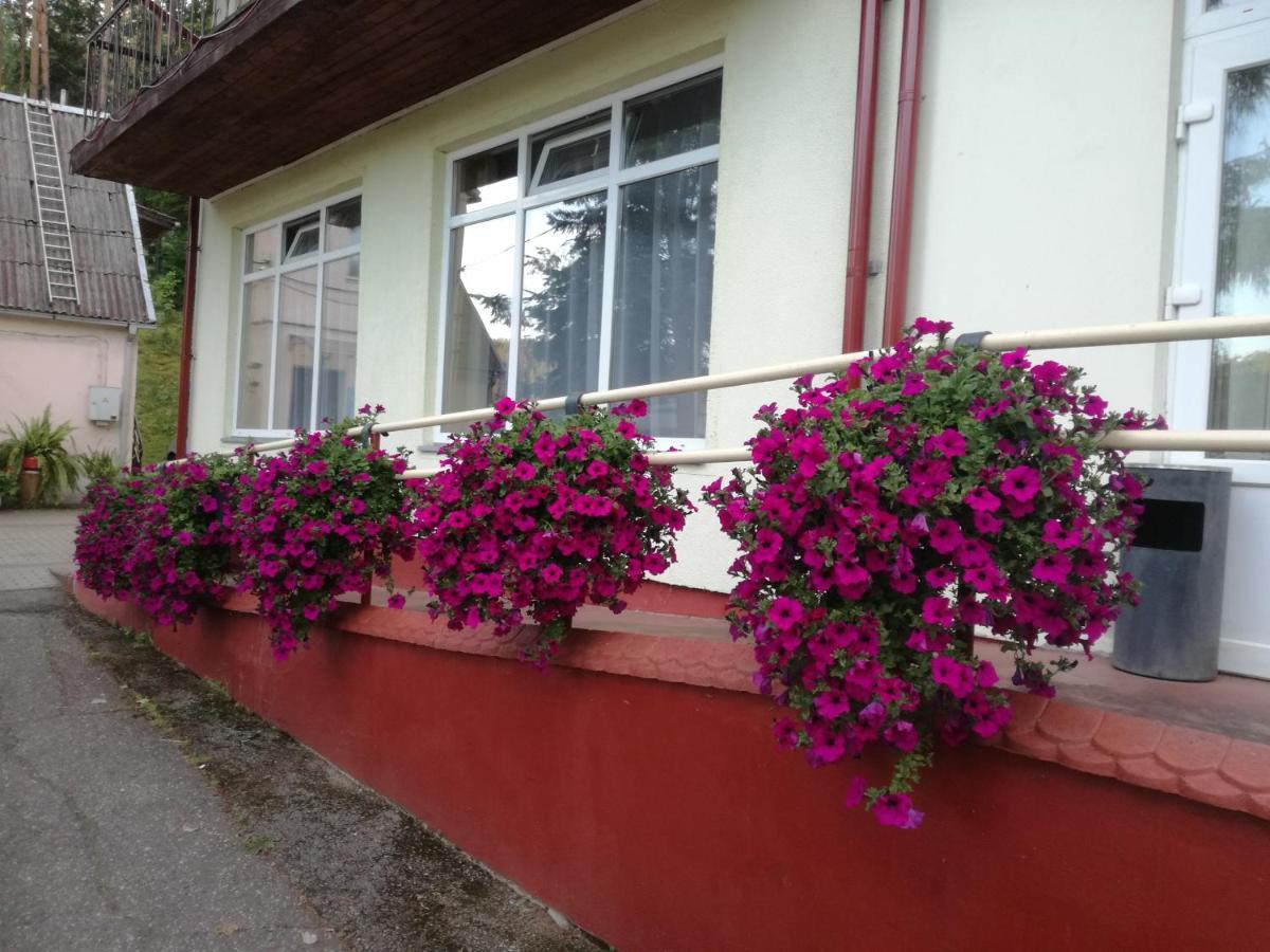 Sveciu Namai Aldaivita Ignalina Exterior foto