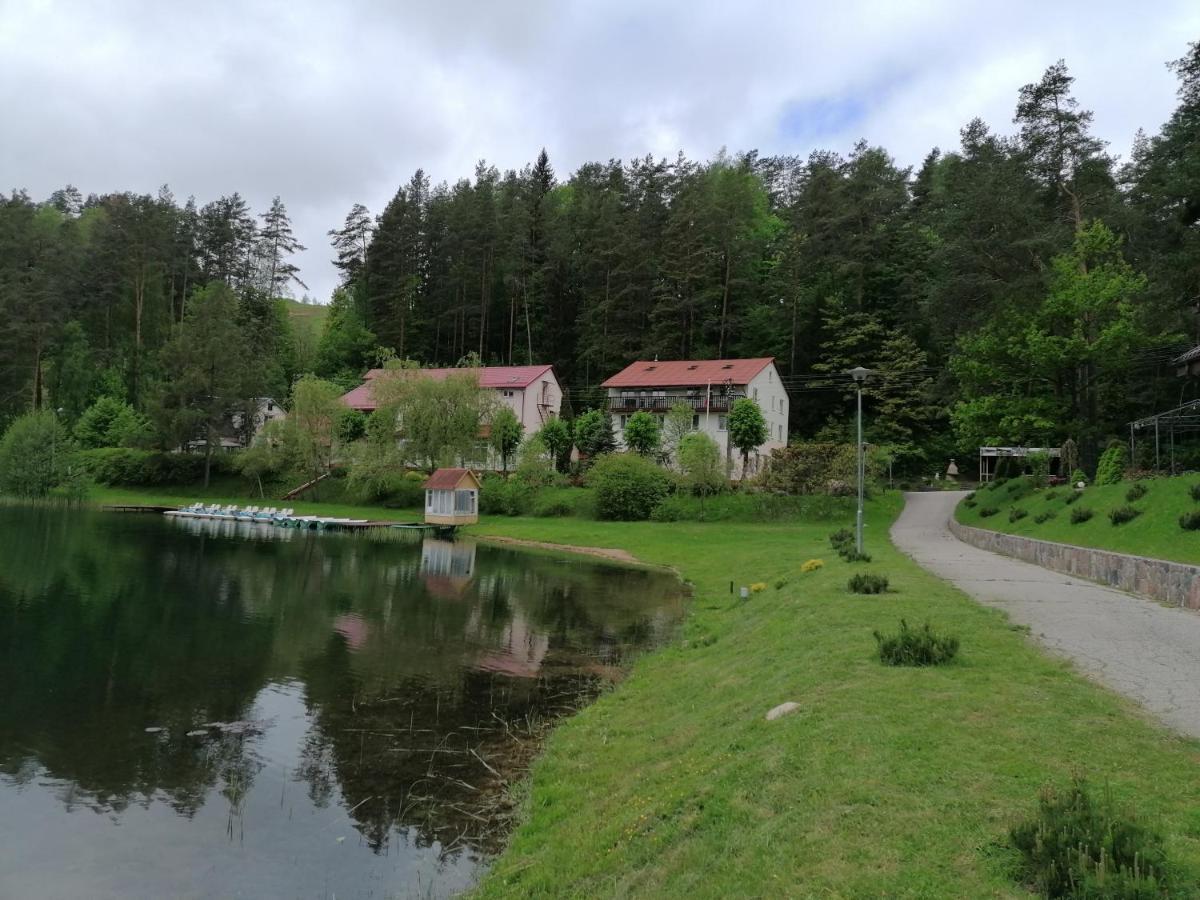 Sveciu Namai Aldaivita Ignalina Exterior foto