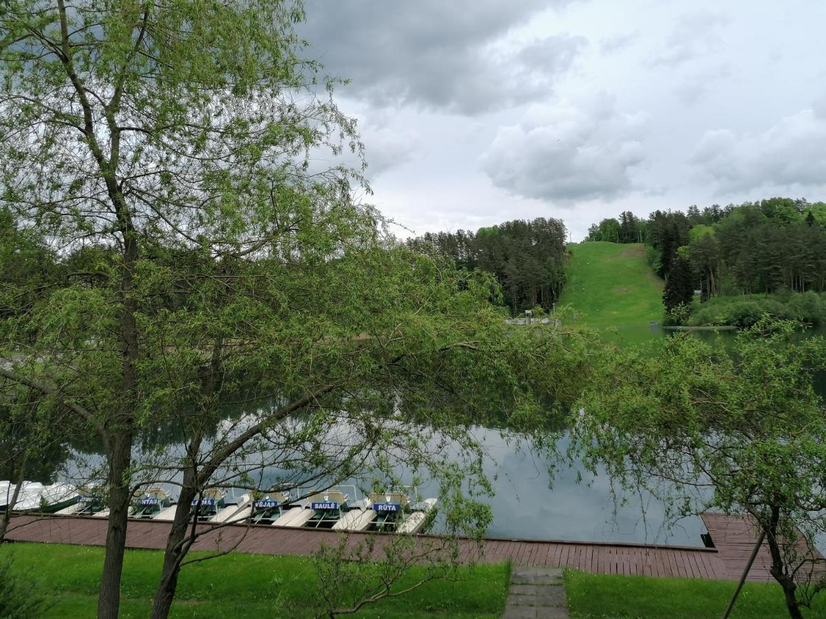 Sveciu Namai Aldaivita Ignalina Exterior foto