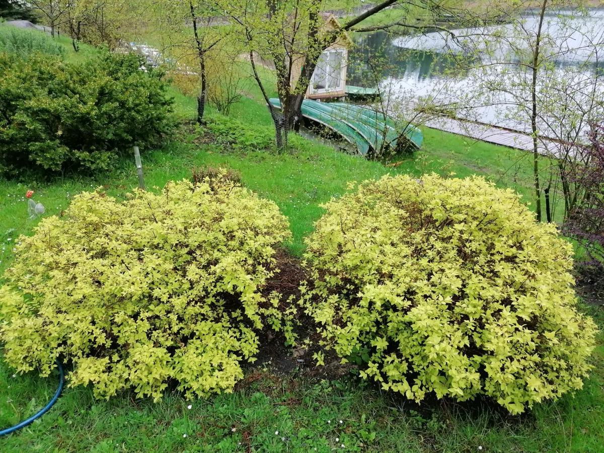 Sveciu Namai Aldaivita Ignalina Exterior foto
